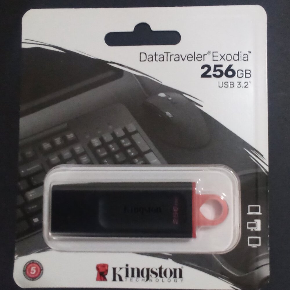 KINGSTON TECHNOLOGY DataTraveler Exodia  256GB USB 3.2 GEN 1 Compliant